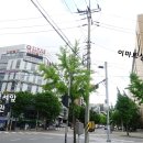 신협 앞 횡단보도 이미지