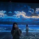 제주소요 | 아르떼뮤지엄 제주 입장료 할인, 소요시간 총정리+방문 후기!