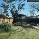 니니스테이 이미지