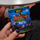 안흥여관 | [대전 방탈출] 안흥여관 -264