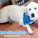 계창초등학교 이미지