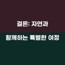 예원펜션 티스토리