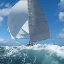 백의민족 이미지