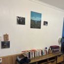 스테이오별 이미지