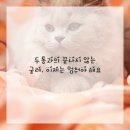 이제한의원 이미지