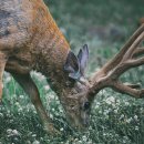 샛별노래연습장 이미지