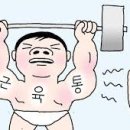 짐엑스 신대방점 이미지