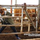 창순목장 이미지