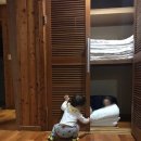 솔향기 | 태안여행 숙소 추천! 안면도자연휴양림 태안 방문의해 가볼만한 곳