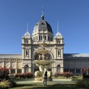 11650-17-183-27 | #🇦🇺 | 서뇨와 함께 멜번을!