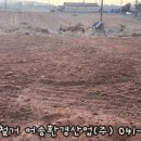 어송농장 네이버블로그