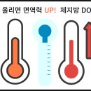 36.5체온다이어트 네이버블로그