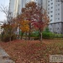 아름동 누리빛문화공원