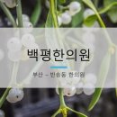 윗반송로 64 이미지