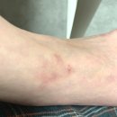 온누리건강나라약국 이미지