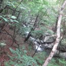 봉평고등학교 이미지