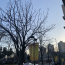 주식회사 석컴퍼니 - 제주시 | 뮤지컬 <맨 오브 라만차> 후기/홍광호, 윤공주, 이훈진/샤롯데씨어터 2층 1열 A구역 14번