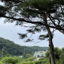 송림농원민박 네이버블로그