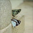 다정한오후 이미지