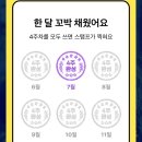 핑크냥이