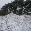 밤재 등산로 이미지