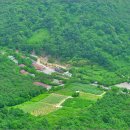 마니산 농원 이미지