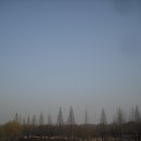 🎞️ 후지 카메라 FUJIFILM FINEPIX J10 후지필름 파인픽스 제이텐으로 사진 찍어봤어요 ◠‿◠ 、ｖ