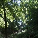 용대관광안내소 | 설악산(백담사-영시암-오세암)