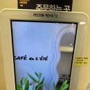 카페드레떼