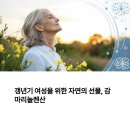 (주)E1 | 여성 갱년기 우울증 개선에 좋은 감마리놀렌산, 실제 후기