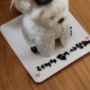 주정차43 | 구미 강아지 반려동물 생일 케이크 수제간식 추천 [ 더마이무 ] 주문제작 후기