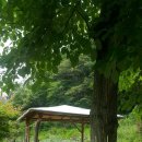 광수농장 이미지