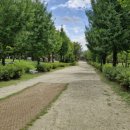 신륵사 화장실 이미지