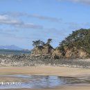 학암포 버스 종점 이미지