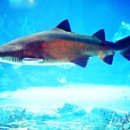 해운대해변로 이미지