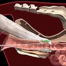 수정농장2 이미지