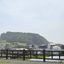 성산포항여객터미널 ↔ 성산포항공영주차장 이미지
