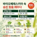 에이스원 이미지