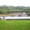 늘밤농원 이미지