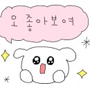 라이언펫 수원광교동물병원 이미지