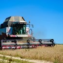 유연농장 이미지