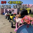 토이레저