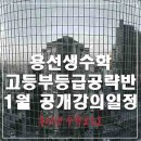 용선생수학교습소 네이버블로그
