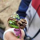 김포서초병설유치원 이미지