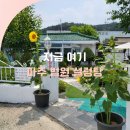 법원새뜰 협동조합 | 파주 오래된 전통 법원설렁탕 도가니탕 맛집 해바라기 축제와 함께 즐겨요