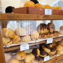 여낙 | 부산 사상 “피넛빵앗간” 솔직 후기