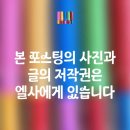 가람식당 | 가람식당-주차,지역특색맛집,단체이용 서비스,솔직후기
