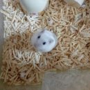 찍 이미지