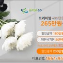 브이아이피서비스 이미지