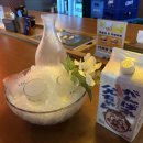 구봉로147번길 | 관저동 맛집 키호시 분위기 좋은 감성 술집 데이트 장소